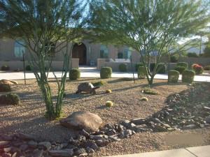 Tree Service Phoenix Tree Service Phoenix